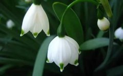 三月三去哪里旅游好玩？三月三适合出远门吗？