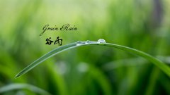 谷雨是哪天？谷雨节气来历是什么样的？