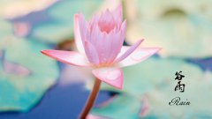 谷雨是什么时候？谷雨节气有什么风俗？