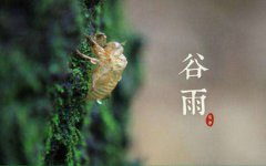 2020年4月20日谷雨节气出生的人好吗，命运如何？