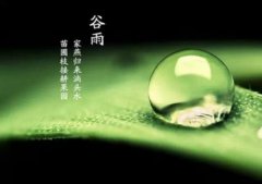 谷雨节气的来源介绍，2020年谷雨有什么活动？