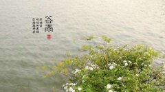 2020年4月20日谷雨喜神方位在哪里,谷雨节气由来是什么？