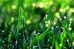 2020年农历三月十六谷雨可以搬家吗,谷雨乔迁新家好吗？