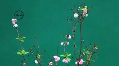 2020年4月20日谷雨日子适合去寺庙烧香祈福吗？