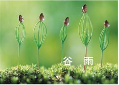 2020年阴历三月十六日子适合上坟祭祖吗,谷雨为何要祭海？