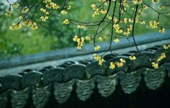 2020年4月20日谷雨可以盖房子吗,谷雨后面是什么节气？