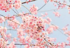 2020年农历三月十七日子适合出行吗,今日时辰吉凶查询！