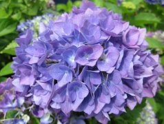 2020年农历三月二十一今天是出行赴任吉日吗?