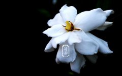 谷雨吃什么比较好？2020年谷雨节气日子好不好？