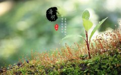 清明节适合订婚吗？2020年清明节是黄道吉日吗？