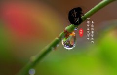 2020年清明节结婚好吗？这天是结婚的黄道吉日吗？