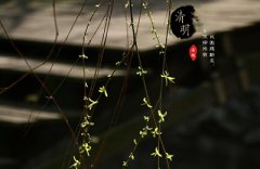 2020年清明节可以领结婚证吗？清明有什么忌讳？