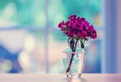 花朝节又叫什么节,别称有哪些?