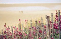 2020年花朝节怀孕什么时候生?花朝节的由来