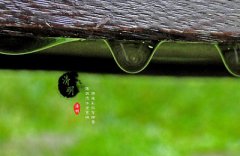 2020年清明节还有几天到来?清明要注意什么?