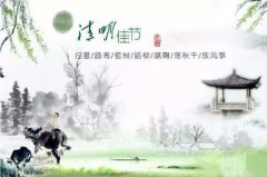 清明节不能做什么,2020年清明节当天上坟祭祖好不好？