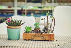 2020年花朝节时辰吉凶一览表！