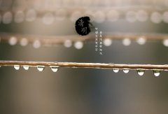 2020年清明节是什么时候？清明时节要吃什么？