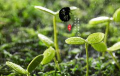 清明节领结婚证好吗？2020年清明节是结婚吉日吗？