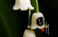 2020年清明订婚好吗？2020年哪些生肖不适合结婚？