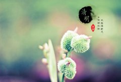 清明节又叫什么节，别称是什么？
