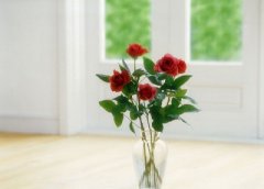 2020年花朝节是星期几？花朝节踏青要注意什么？