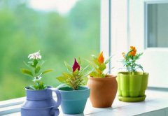 2020年花朝节是哪天？花朝节适合搬家吗？