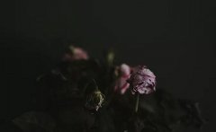 什么是出殡？2020年花朝节出殡是不是很不好？