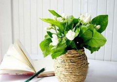 2020年花朝节适合理发吗？这天是不是黄道吉日？