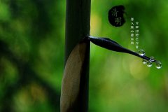 2020年清明扫墓适合修坟吗？迁坟为什么要选吉日？