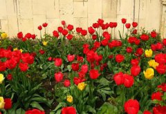 2020年4月1日愚人节今天适合结婚嫁娶吗,愚人节是什么节？