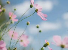 2020年4月1日愚人节这天的日子是不是黄道吉日？