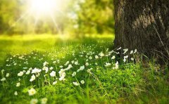 2020年4月1日愚人节日子适合开业吗,2020年愚人节还有几天？