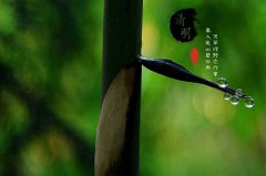 2020清明节日子好不好？清明扫墓要注意什么？