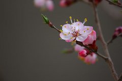 2020年春分这天日子可以签约吗,春分节气有什么特征？