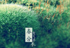 2020年春分会出现回南天吗,春分养生有何注意事项？