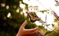 2020年农历三月十八日出生的孩子是什么星座？