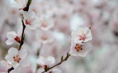 2020年农历三月不能剪头发理发的日子是哪几天?