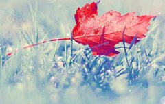 2020年阴历三月初九日子适合出行吗,今日卦象怎么样？