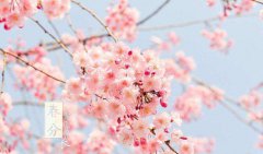 2020年3月21日春分可不可以订婚,春分三候是什么?