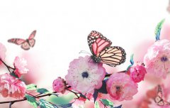 春社日怎么算,2020二月初一春社日吃什么传统食物?