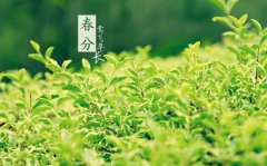 春分节气简介,春分的来历是什么?