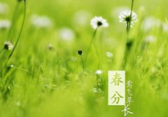 春分有什么寓意，2020年春分节气吃什么比较好？