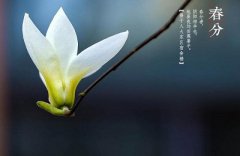 2020年二月十五日春分节气有什么习俗？