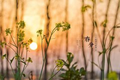 春分节气简介，春分日代表什么？