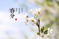 2020年春分可以乔迁新家吗？春分节气简介