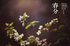 2020年春分节气各个时辰吉凶一览表！