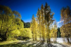 2020年农历三月二十八日出生的孩子是什么星座？