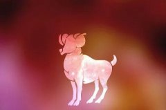 2020年农历三月十三日出生的宝宝是什么星座？