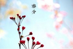 2020年春分节气日子好吗？春分要注意什么？